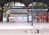 Comerciante fue asesinada el 20 de agosto al abrir su negocio en Chongón.