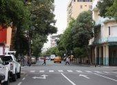 Guayacanes engalanan a diario el paso a lo largo de la calle Chimborazo, en el centro de Guayaquil.