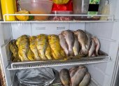Las corvinas apiladas en el interior de un refrigerador en la cocina del restaurante.