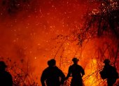 Brigadistas intentan sofocar los focos de fuego activos en el departamento del Tolima.