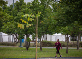 El parque Samanes cuenta con decenas de áreas verde para caminar.
