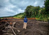 Daño ambiental. La maquinaria pesada destruyó 140 árboles nativos, afectando troncos, ramas y raíces de especies que ya no pueden recuperarse.