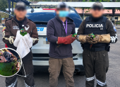 Tres guacamayos frenticastaños fueron rescatados durante un operativo en la Terminal Terrestre de Quitumbe, donde permanecían dentro de un transportador de gallos.
