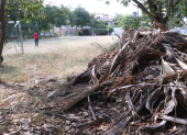 El parque Antonio Neumane tiene diversidad de flora y fauna, pero sus instalaciones necesitan mantenimiento y mejoras.