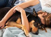 Lo mejor de la tarde: una siesta en compañía canina