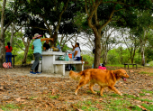 Las familias aún acuden al parque El Lago a realizar actividades al aire libre, como preparar alimentos y pedalear.