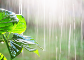 Referencial.Varias ciudades del país amanecen con lluvias este lunes, según el pronóstico del Inamhi.