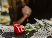 Entre 2020 y 2025, la Alianza Feminista documentó 380 femi(ni)cidios en las diez provincias de la Sierra, mientras 203 fueron clasificados oficialmente como femicidios por el Ministerio del Interior.