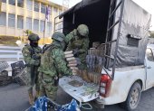 Los militares decomisaron media tonelada de marihuana que presuntamente era trasladada hacia la Costa.