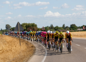 Ciclistas durante la decimoséptima etapa de La Vuelta a España, de 185 kilómetros de recorrido entre Dos Hermanas y Sevilla.
