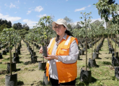 María Belén Calvache, directora de Áreas Naturales de la Empresa de Obras Públicas de Quito, en el vivero de Las Cuadras, sur de la urbe.