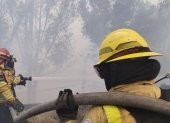 El incendio forestal registrado en La Vicentina generó una columna de humo visible y obligó a restringir parcialmente la circulación vehicular.