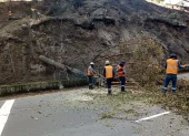 Los árboles quedaron en riesgo de caer en un tramo de la avenida Velasco Ibarra.