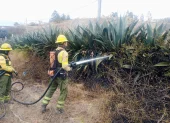 En San Juan de Chuspiyacu, en Tumbaco, se registró un incendio forestal, Días después ocurrió otra emergencia por una quema de follaje.