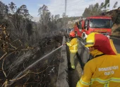El incendio en La Vicentina afectó a cinco hectáreas de vegetación.