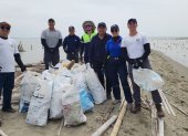 Voluntarios durante una jornada de limpieza de playas.