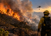 Los incendios forestales representan una amenaza que requiere prevención, responsabilidad ciudadana y una respuesta permanente.