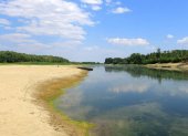 Bajo nivel del río Danubio a su paso por la localidad de Roseti, en Rumanía, en una imagen de principios de agosto.
