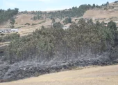 En una zona del cerro Casitagua el fuego ta fue controlado. En el sector norte las llamas siguen.