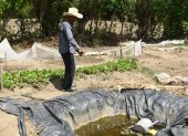 Jesús Rodríguez muestra un agujero artesanal donde almacenan la poca agua de lluvia que cae debido a la sequía en El Jícaro (Guatemala).