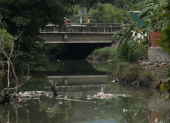 La recuperación del estero Salado requiere reducir las fuentes de contaminación y aplicar soluciones sostenidas para restaurar su ecosistema.