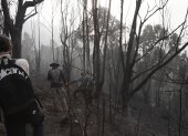 Autoridades locales aseguran estar "desbordadas" por la emergencia, en Villa de Leyva (Colombia).