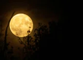 La Luna llena de septiembre tendrá lugar el sábado 26 y será conocida tradicionalmente como la Luna de la Cosecha o Luna del Maíz.