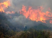 El incendio forestal en el cerro Casitagua es el que más afectaciones ha dejado hasta la fecha.