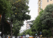El parque Santa Clara de Daule es señalado como un ejemplo de los desafíos que enfrenta el cantón para conservar sus árboles y áreas verdes.