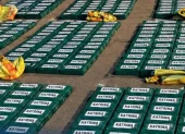 El cargamento estaba oculto en un camión que fue detenido durante controles preventivos.