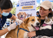 Referencia. Perros y gatos mayores de tres meses podrán recibir gratuitamente la vacuna antirrábica durante la jornada nacional que recorrerá Ecuador.