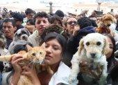 Familias quiteñas podrán acudir con sus mascotas a la tradicional bendición que se realizará en la Plaza de San Francisco este sábado especial.