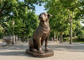 La escultura de Max rendirá homenaje al perro comunitario que se convirtió en un personaje querido de la Escuela Politécnica Nacional.