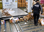 El can detector BECKY alertó sobre una encomienda que contenía cocaína oculta en fundas de chocolate con destino a Países Bajos.