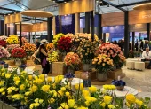 Expoflores advirtió que la informalidad abarca 1.200 hectáreas productivas y representa un riesgo para las exportaciones de flores ecuatorianas.