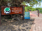 Galápagos se prepara para El Niño: científicos y operadores turísticos, en alerta.