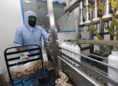 CNEL EP ya notifica a empresas industriales sobre el nuevo cronograma.