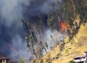 Los incendios forestales se mantienen activos en tres provincias de Ecuador, según la Secretaría Nacional de Gestión de Riesgos. Imagen referencial.