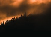 La Secretaría Nacional de Gestión de Riesgos aseguró que monitoreaba la situación de los incendios forestales en Ecuador.
