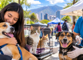 Perros y gatos podrán recibir atención veterinaria y encontrar un hogar en las ferias organizadas por la Unidad de Bienestar Animal de Quito.