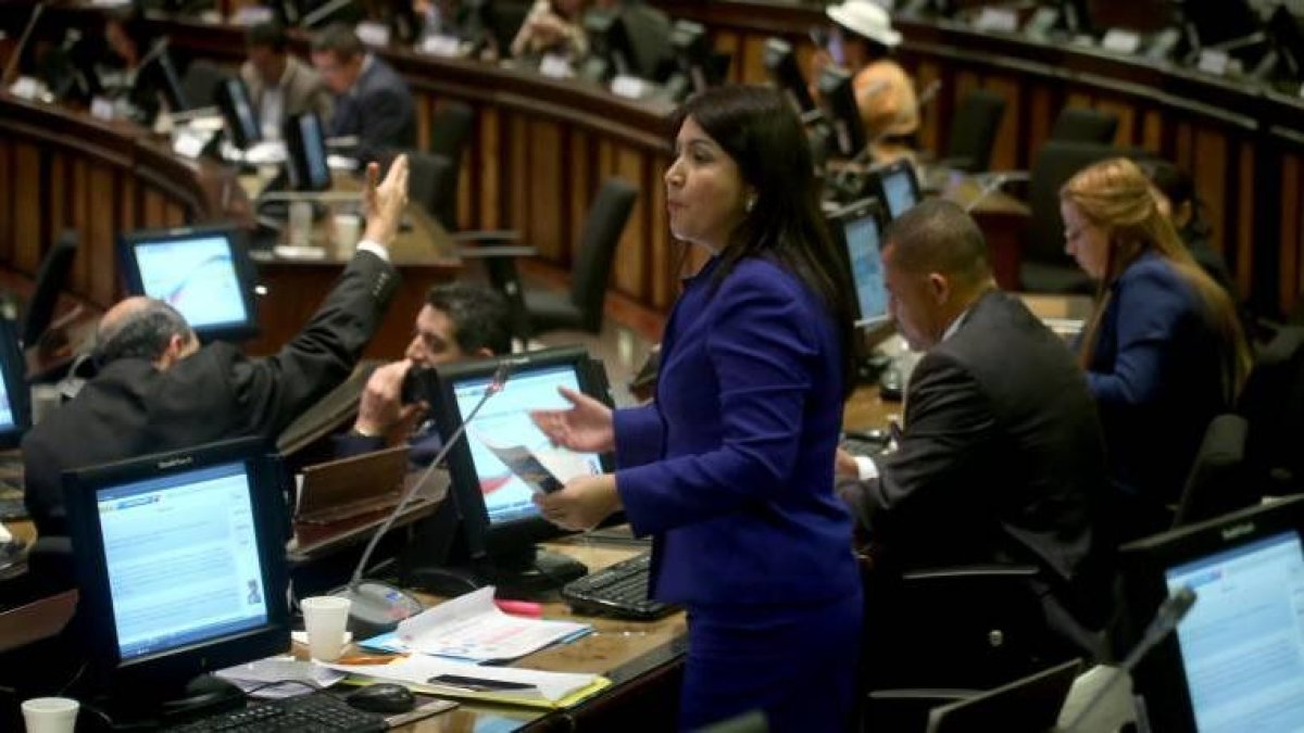 Ponente. La oficialista Ximena Peña sobrevivió a los intentos, encabezados por Roberto Gómez, de CREO, de deponerla como ponente del proyecto.