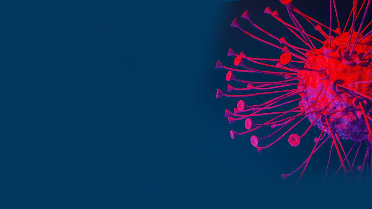 Los anticuerpos monoclonales han dado esperanzas frente a algunos tumores donde no existían.