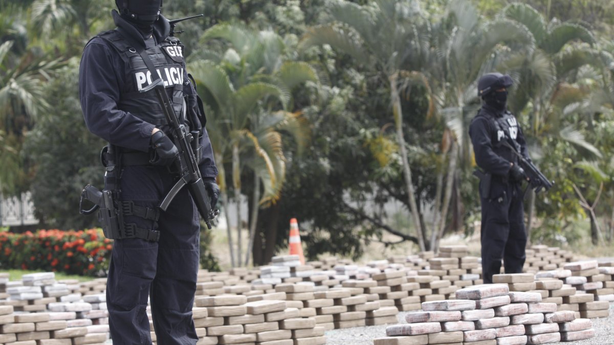Uno de tantos golpes dados en el país al narcotráfico en 2019.