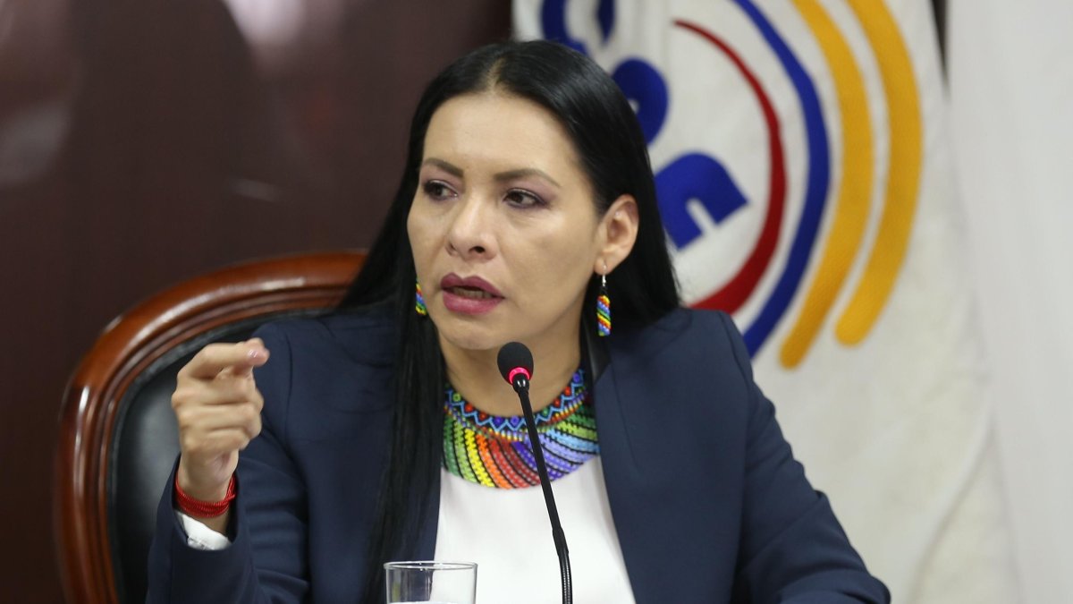 Posición. La presidenta del CNE,Diana Atamaint, asegura que las pruebas presentadas en su contra se basan en suposiciones.