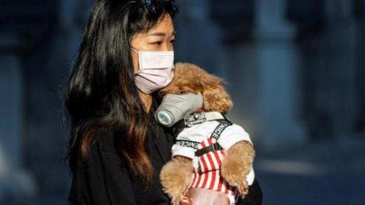 El gobierno chino ha recomendado poner en cuarentena a las mascotas.