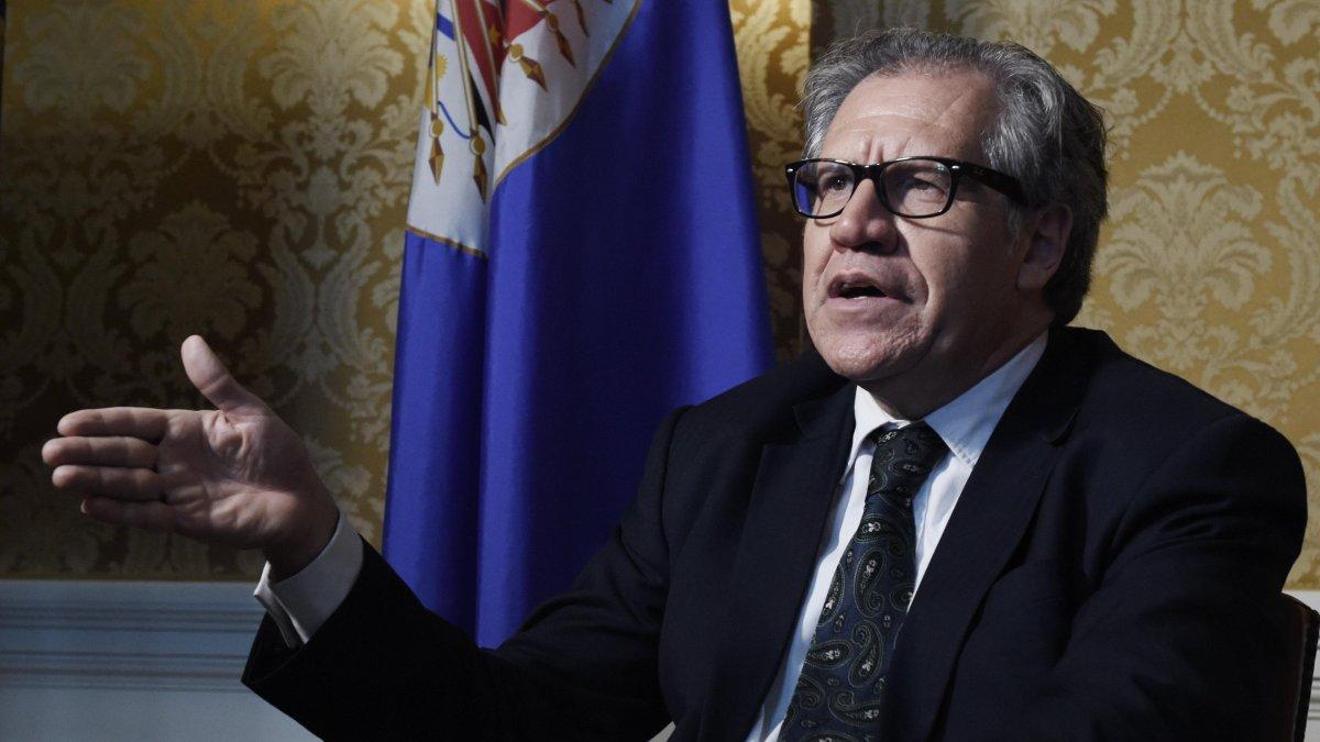 El presidente Lenín Moreno ha hecho público su apoyo a la reelección de Luis Almagro.