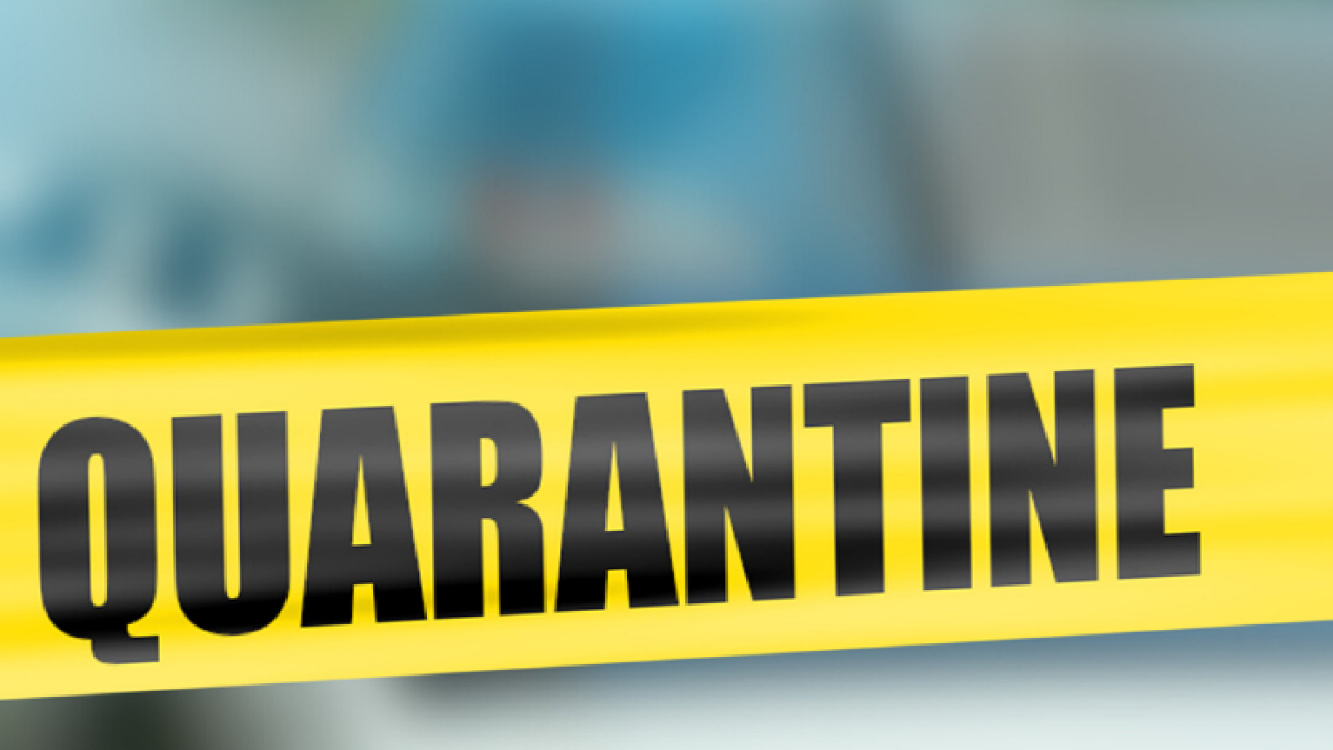 Este 23 de marzo se cumple el séptimo día de aislamiento preventivo en Ecuador.