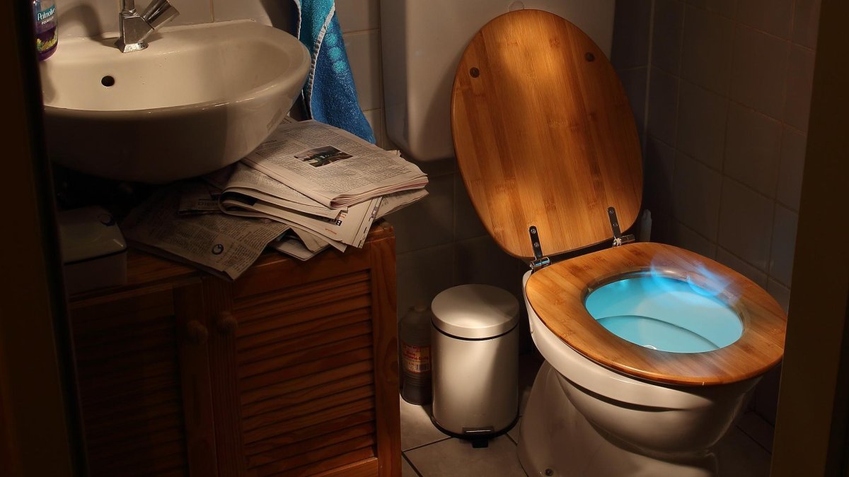 Los inodoros pueden funcionar para otros fines, según demuestran estos científicos.