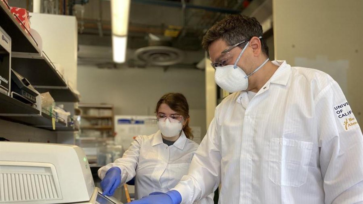 El científico ecuatoriano Diego Fernando Acosta Alvear, junto a Sabrina Solley, en su laboratorio, en Santa Bárbara, California, Estados Unidos.