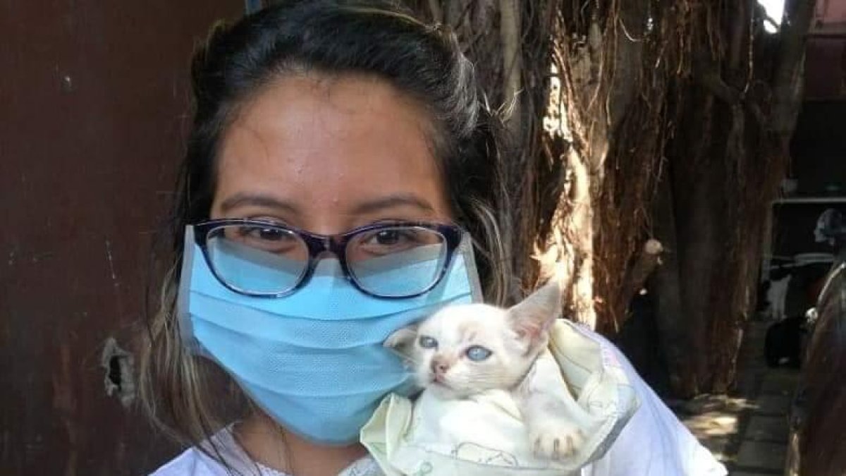 Carnavalita consiguió un hogar durante la cuarentena. Ahora se llama Kira.